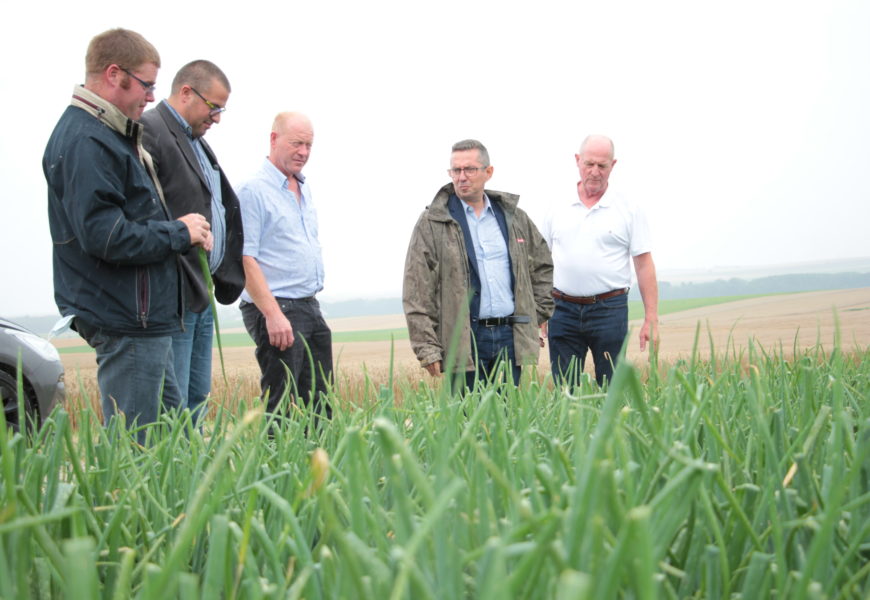 Les agriculteurs appellent à l’aide