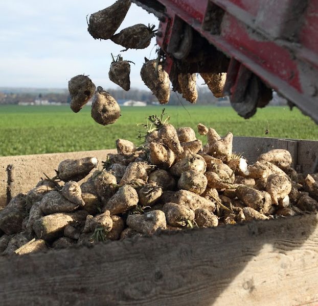 Un préjudice moral et financier  pour les agriculteurs victimes