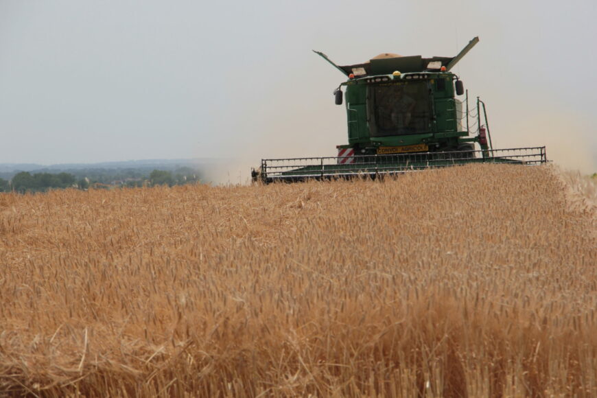 Point moisson : les orges d’hiver  s’en sortent mieux