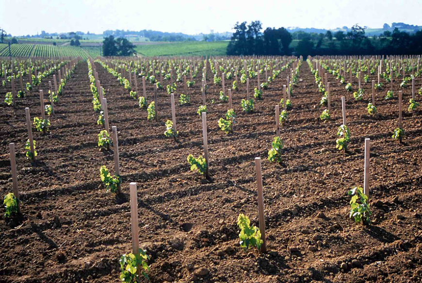 Réchauffement climatique :  des perdants et des gagnants