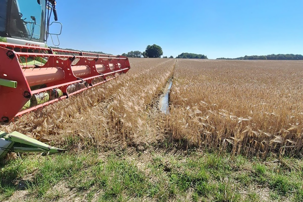 La moisson a démarré