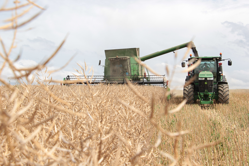 Moisson : mauvaise année  pour les céréales