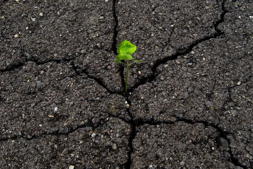 Zéro artificialisation : l’exclusion  des bâtiments agricoles refait surface