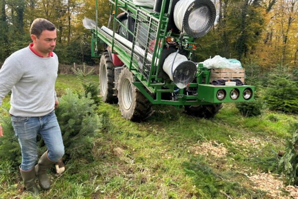 Profession : producteur  de sapins de Noël